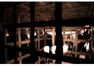 vie-weinfest2012-wim-04