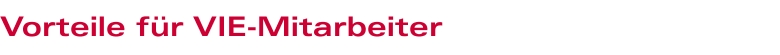 Benefits for VIE employees Benefits for VIE employees